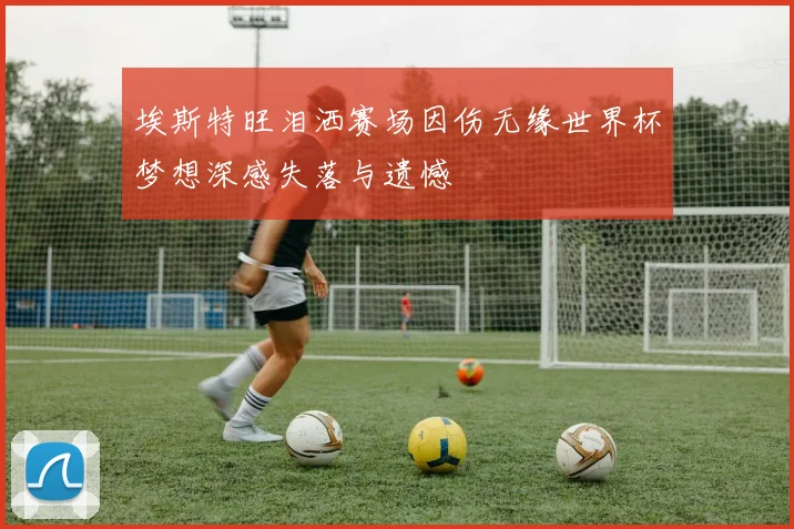 埃斯特旺泪洒赛场因伤无缘世界杯梦想深感失落与遗憾